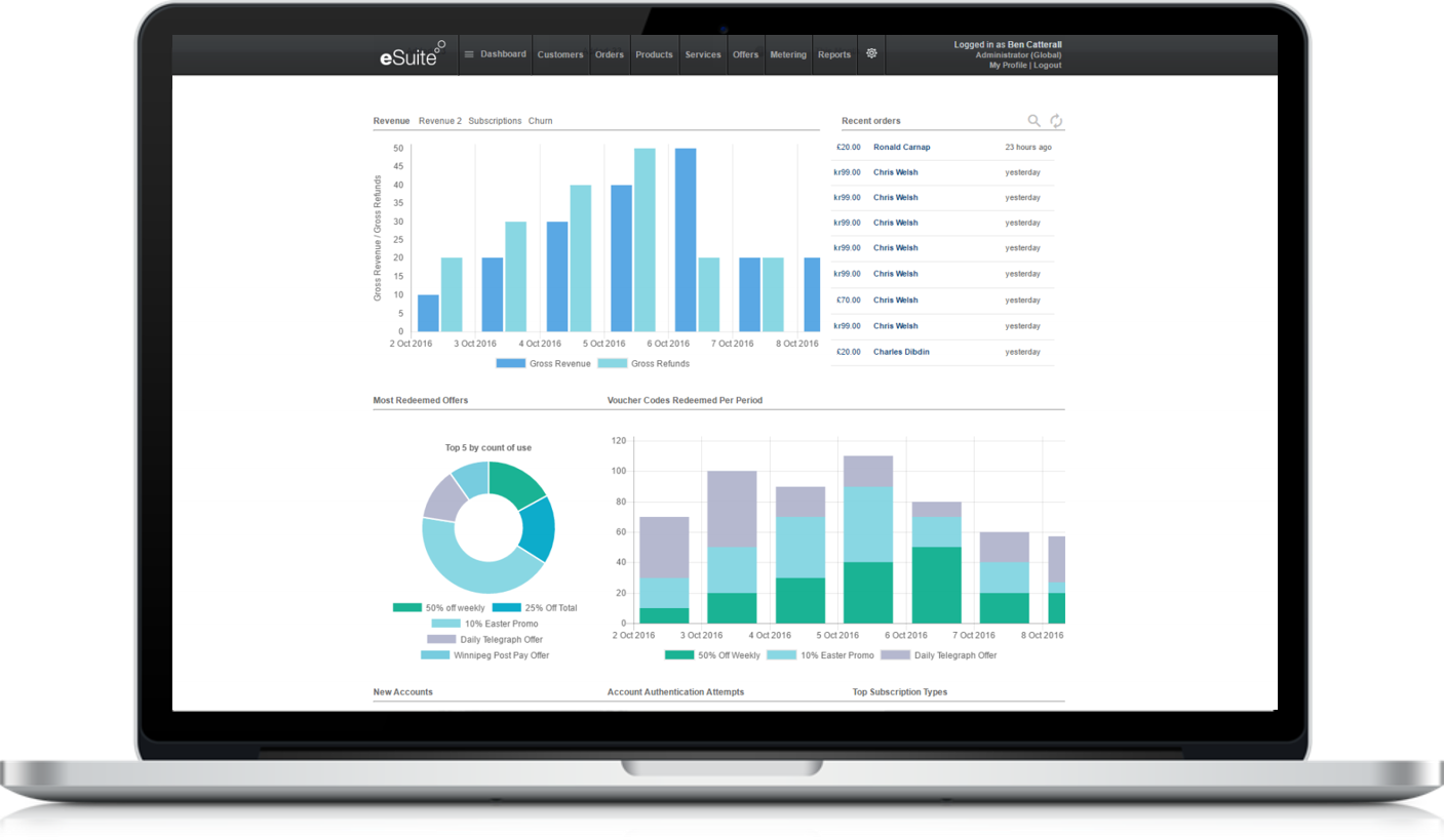 Графики Аналитика на мониторе. Esuite. Brand Analytics мониторинг СМИ. Человек за монитором отчет инфографикой.